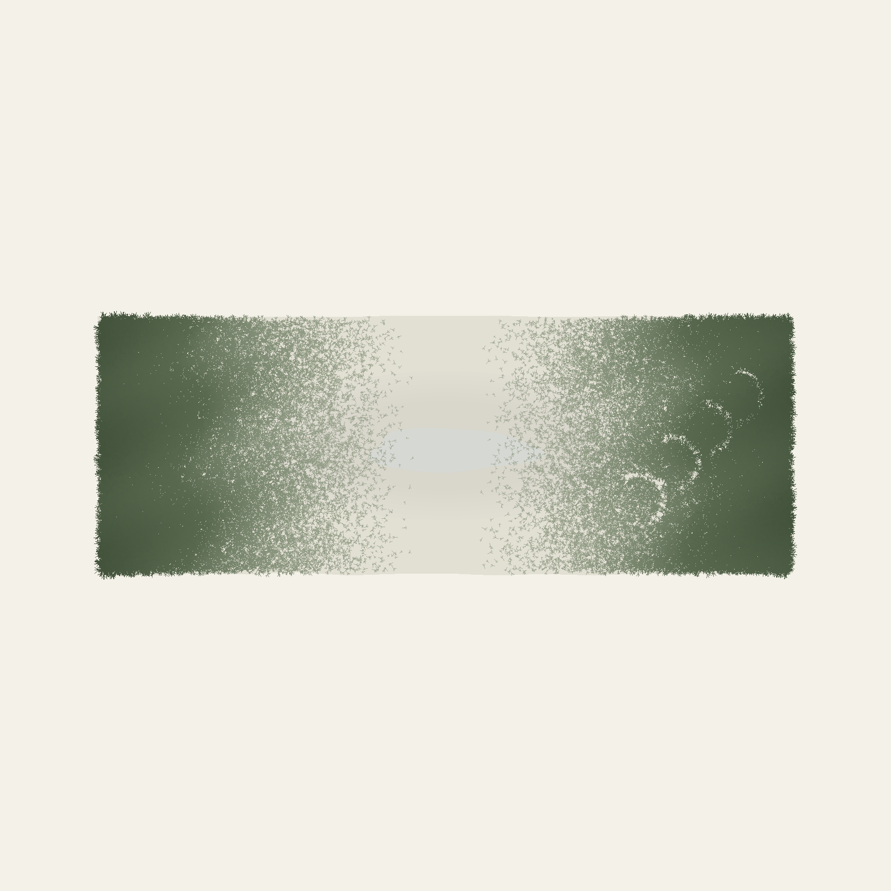 苔の帯の中ほどだけ、色が抜けている